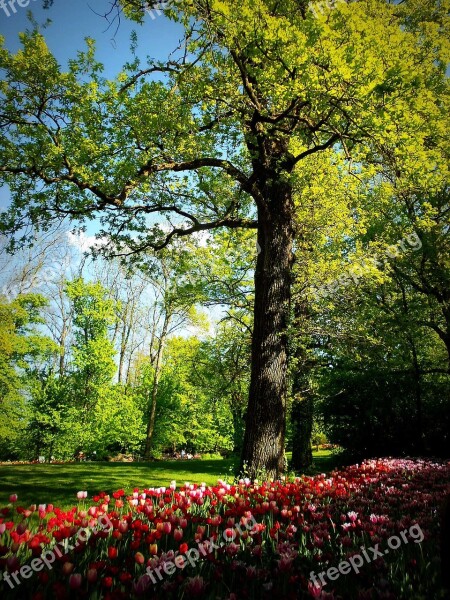 Park The Castle Of Pralormo Torino Piemonte Italy