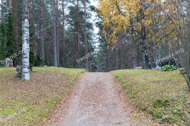 The Path Nature Autumn Free Photos