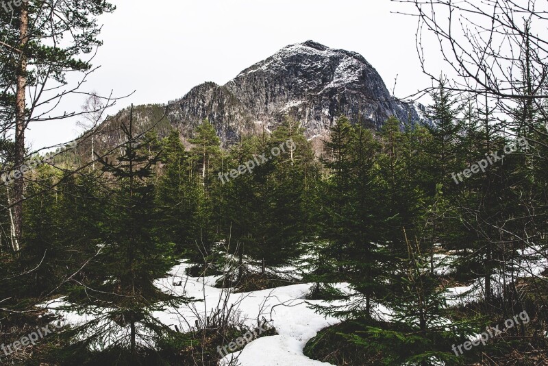 Mountain Norway Trees Snow Nature