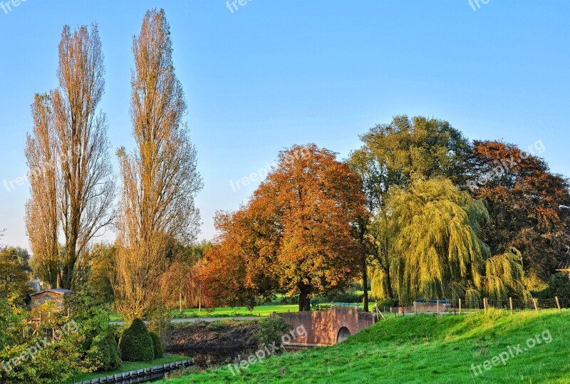 Trees Grass Landscape Rural Holland