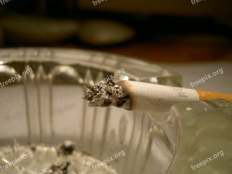 Ash Cigarette Macro Free Photos