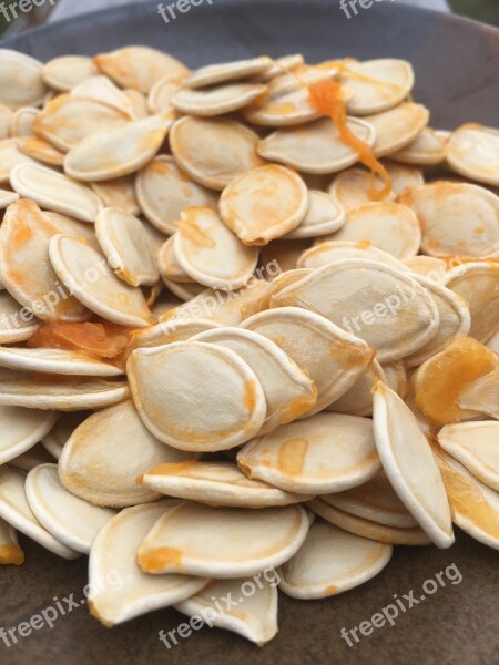 Pumpkin Seeds Pumpkin Fall Autumn Halloween