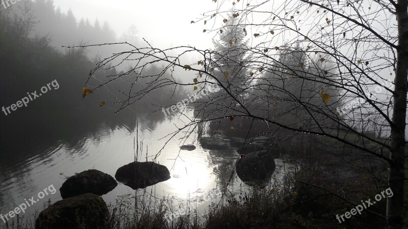 Fog Autumn Landscape Mood Garden Pond