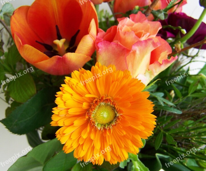 Flower Bouquet Yellow-orange Cut Flower Free Photos