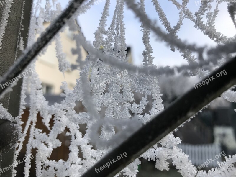 Frost Cobweb Web Hoarfrost Winter