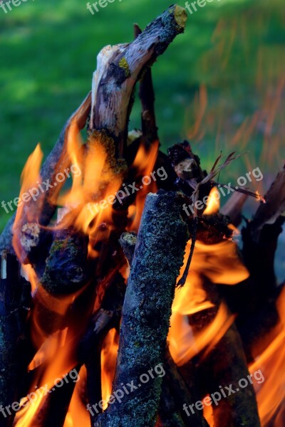 Fire Flama Wood Barbecue Burn