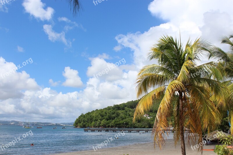 Beach Maritinique Fort De France The Caribbean Sun