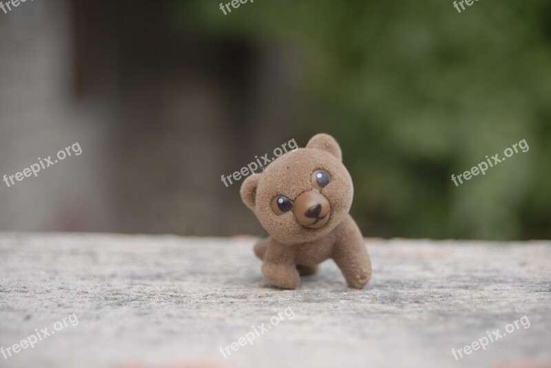 Bear Toy Tenderness Tlapa De Comonfort Gro