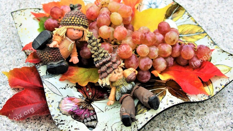 Grapes Imp Fruit Autumn Rudy