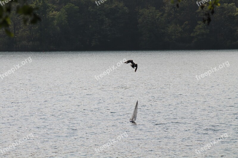 Lake Flight Boat Sail Free Photos