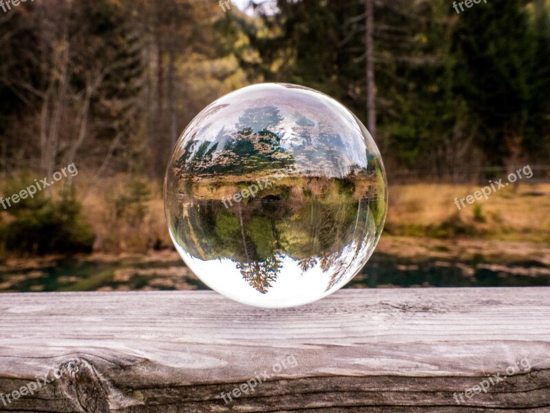 Glass Ball Autumn Trees Mirroring Reflection