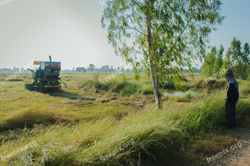 Agriculture The Industry The Village Straw Harvest