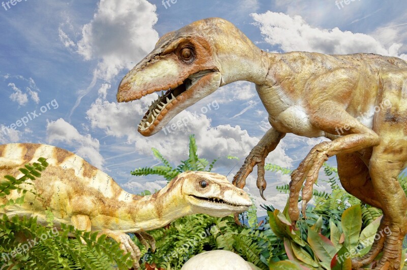 Dinosaurs Lizards Carnivores Jurassic Free Photos