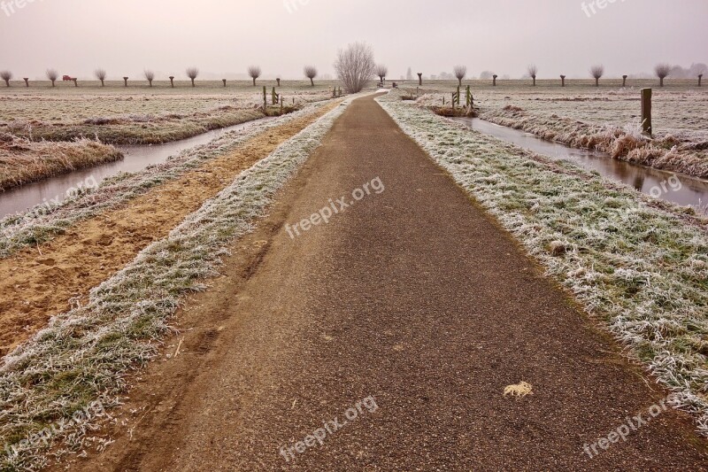 Road Country Road Bollards Horizon Winter