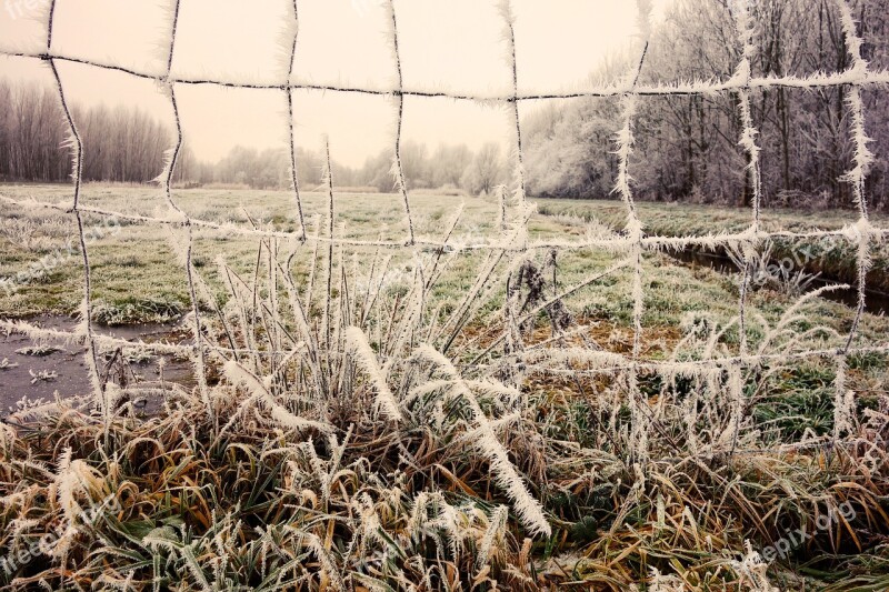 Wire Mesh Hoarfrost Crystals Landscape