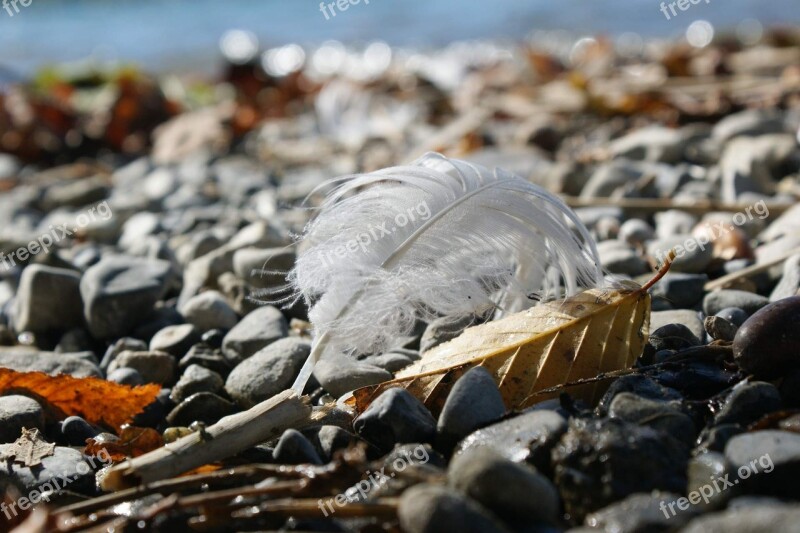 Stones Nature Idyllic Pebble Beach Coast