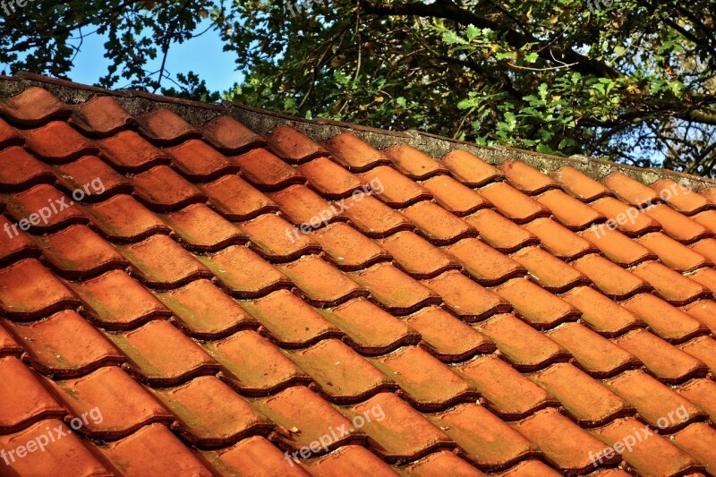 Roof Tiles Roof Tile Roofing Red Roof Tiles