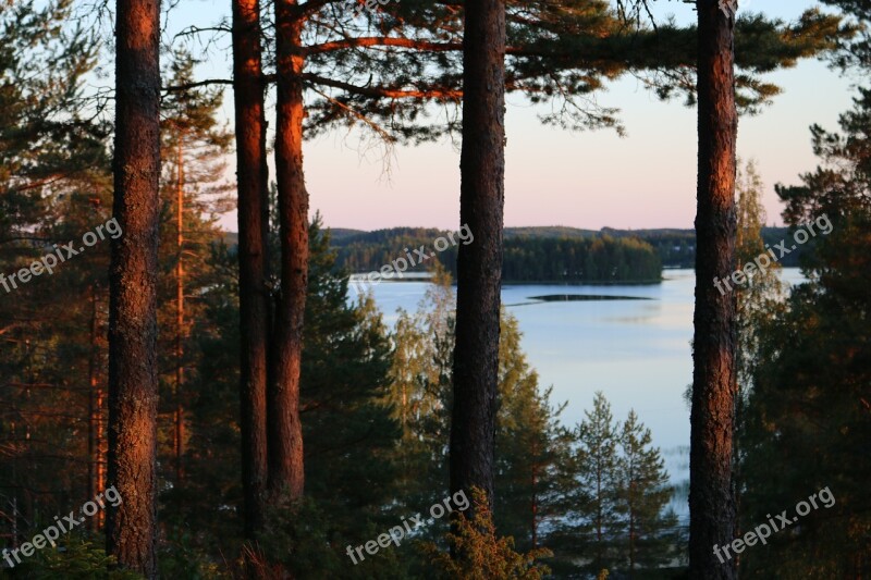 The Slope Lake Pines Trees Free Photos