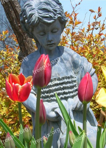 Girl Tulips Watering Can Lovely Flowers