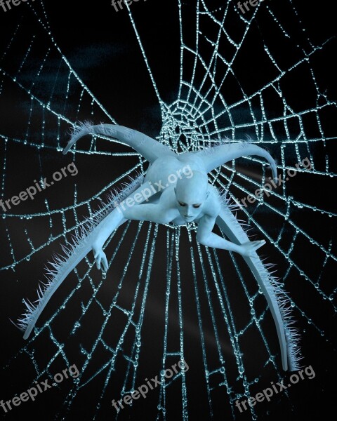 Cobweb Woman Surreal Fantasy Female