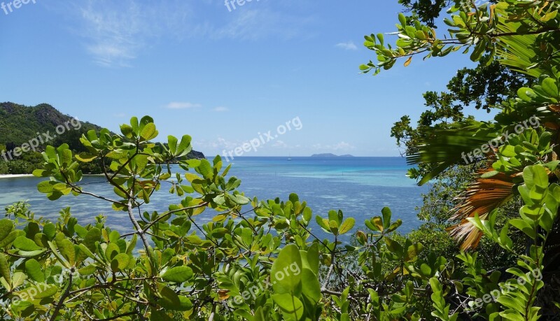 Seychelles Beach Sea Indian Ocean Island