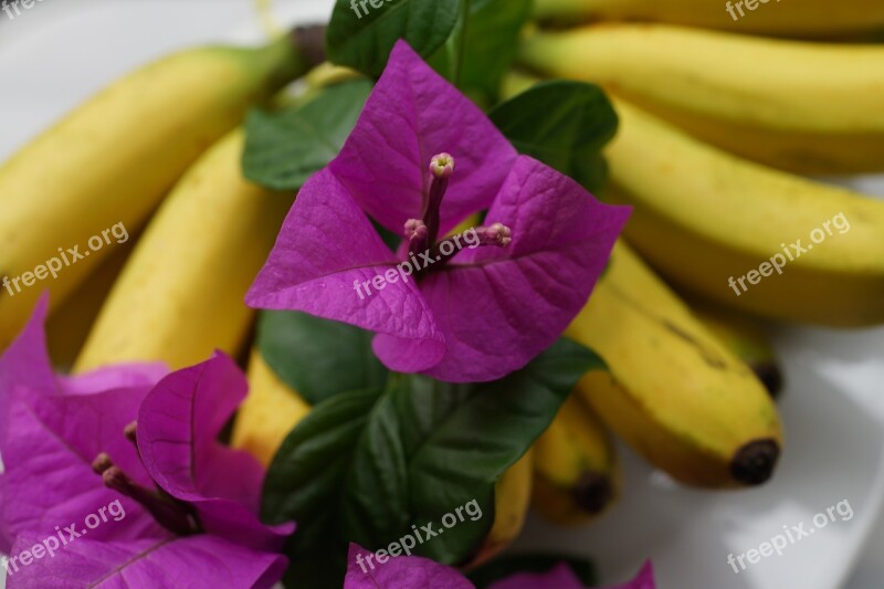 Welcome Platter Bananas Bougainvillea Flowers Decoration Freshness