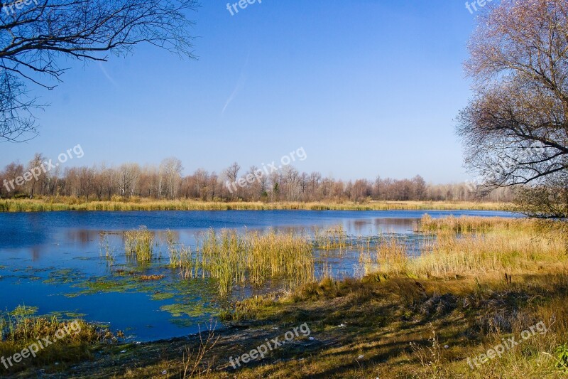 Beautiful Nature Blue Lake Frost