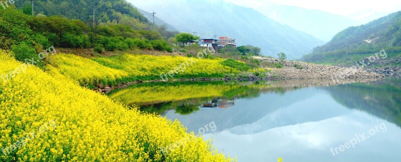 Landscape Seomjin With Flower Free Photos