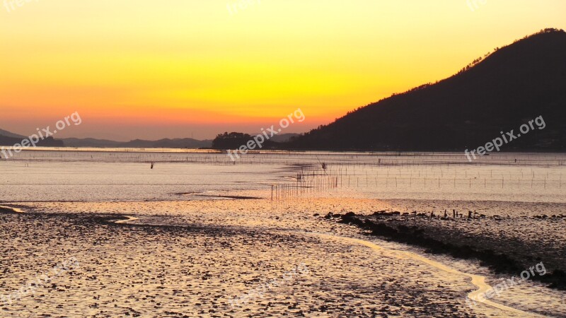 Suncheon Bay Sunset Tidal Free Photos