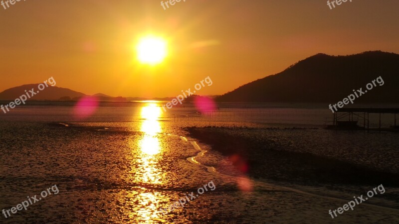 Sunset Suncheon Bay Tidal Free Photos