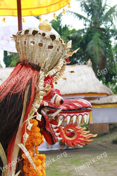 Bali Art Ceremony Traditional Culture