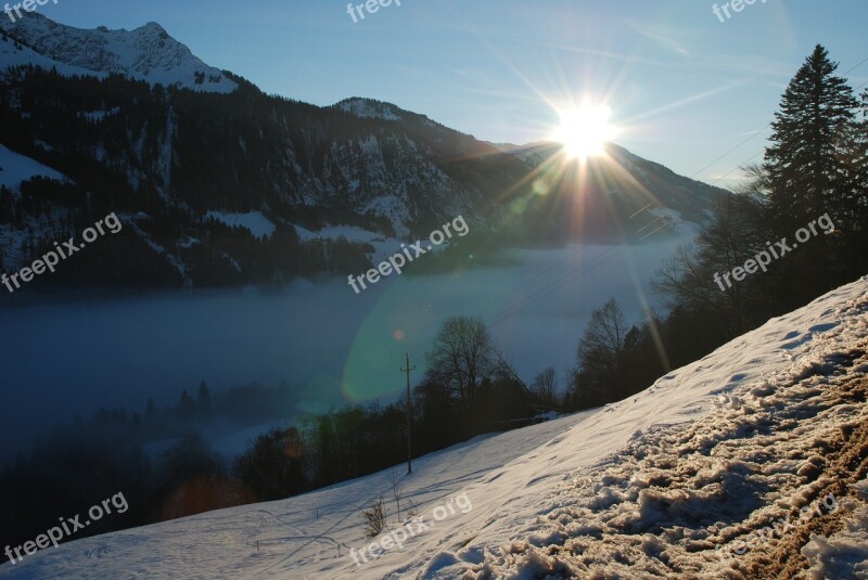 Fog Sun Snow Forest Alpine