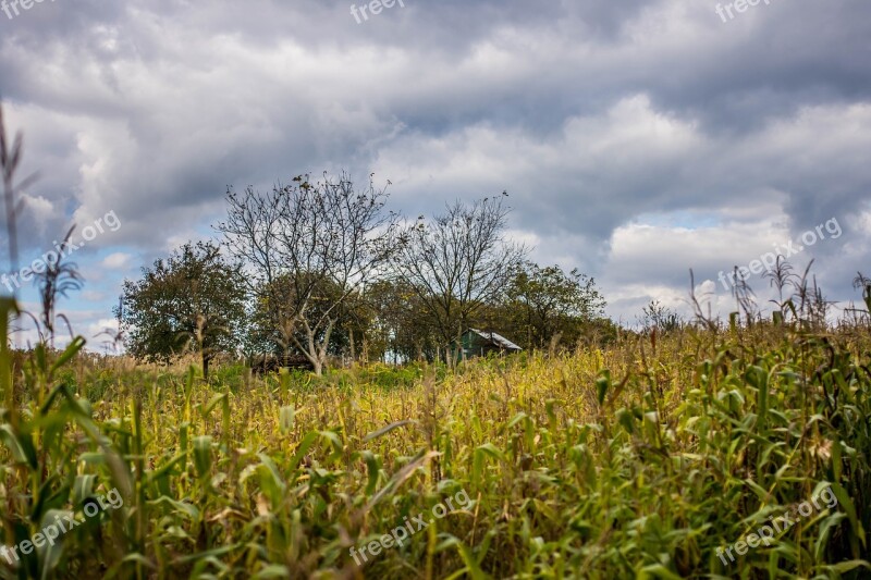 Halloween Corn Clouds The Fear Field