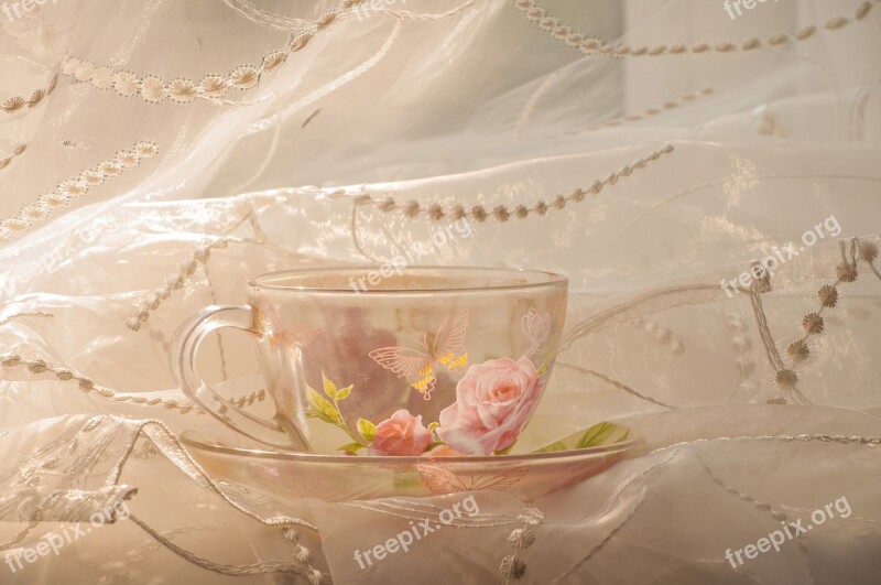 Cup Curtain Tulle Morning Free Photos