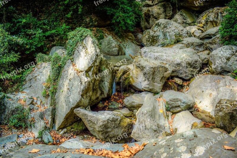 Stream Rock Nature Landscape Scenery