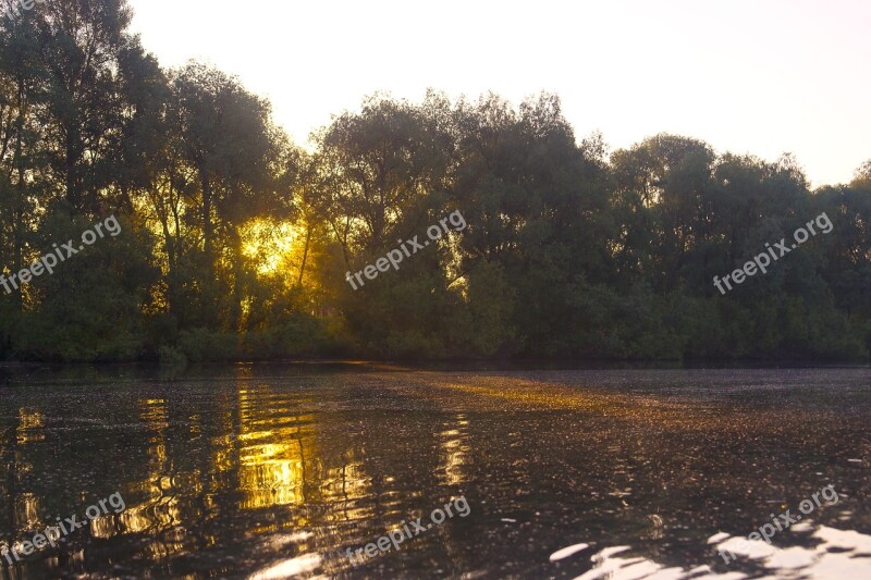 Sun Nature Tree Background Water