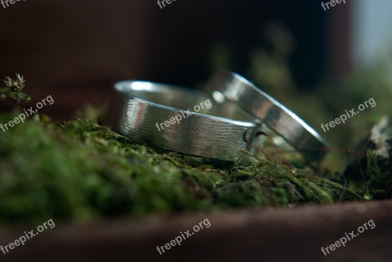 Love Wedding Rings Moss Romantic