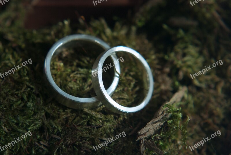 Love Wedding Rings Moss Romantic