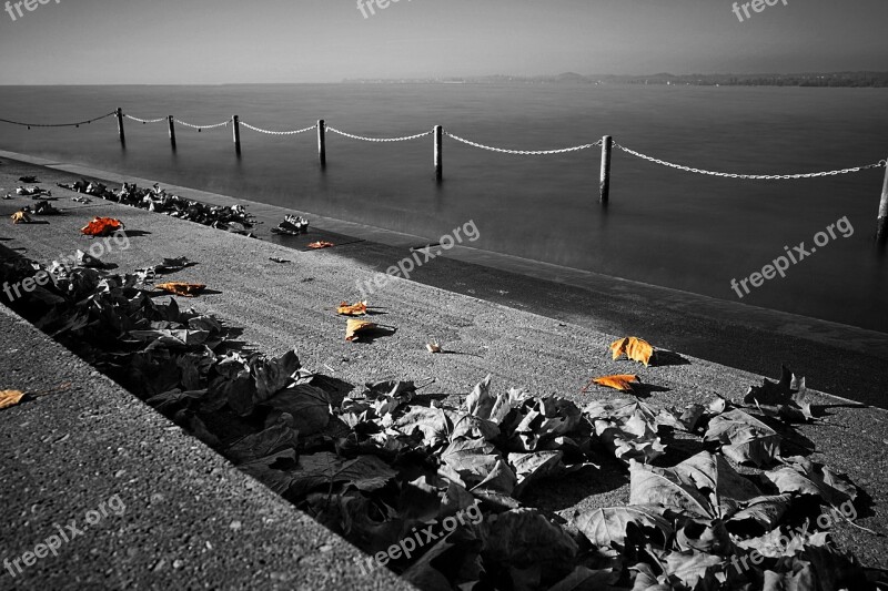 Autumn Lake Lake Constance Sunset Stages Bregenz