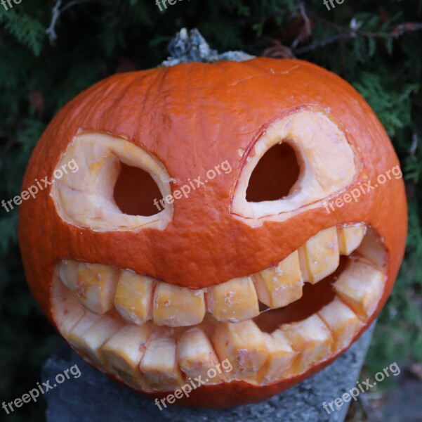 Pumpkin Halloween Fash Halloweenkuerbis Deco