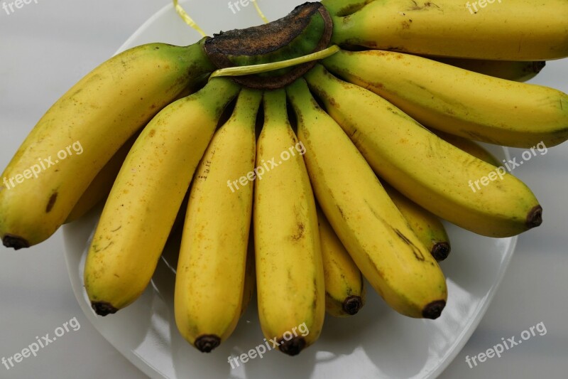 Bananas Popular Fruit Nutrition Tropical Fresh