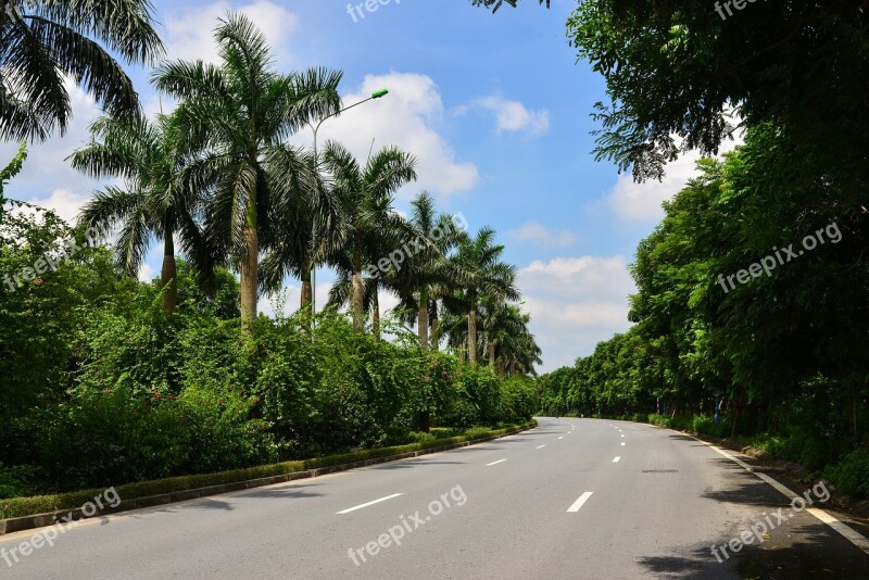 Road Ecopark Autumn Free Photos