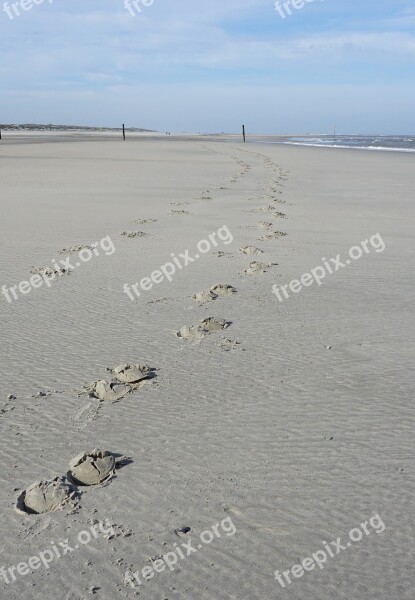 Beach Traces Hoof Sand Trace