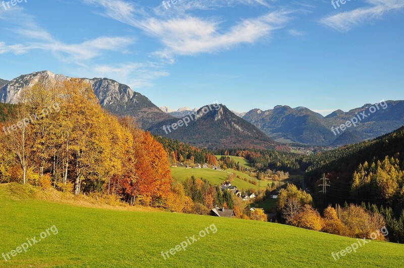 Autumn Golden Autumn Autumn Forest Fall Color Colorful