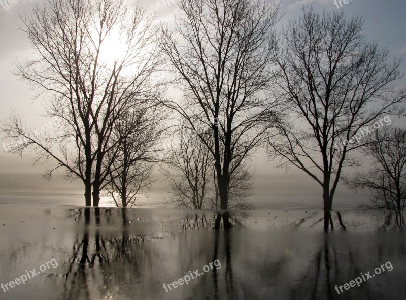 Trees Winter Reflections Sunrise Landscape