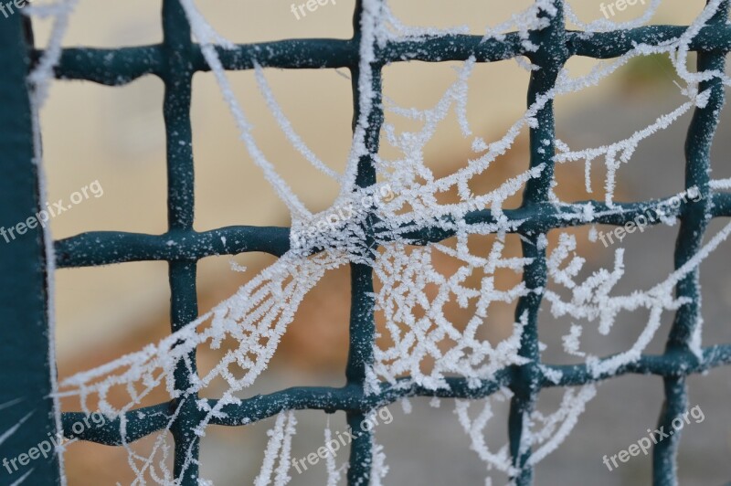 Winter Gel Spider Web Cold Winter Landscape