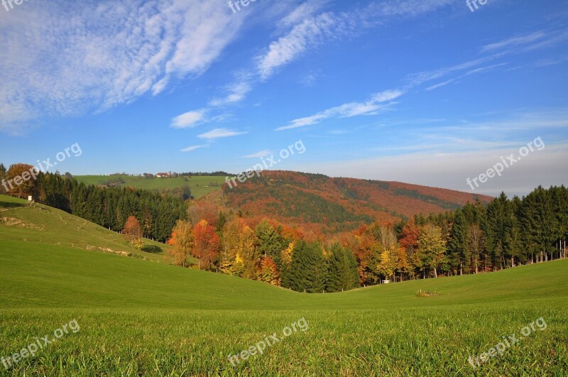 Autumn Golden Autumn Autumn Forest Fall Color Colorful