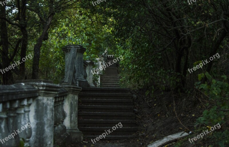 Architecture Ladder Spring Junk Free Photos