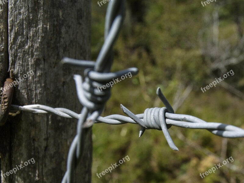 Metal Wired Wire Barbed Security