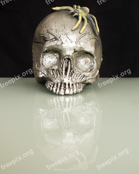 Spider Skull And Crossbones Skull Halloween Shouting